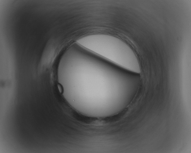X0000101190119200806270855