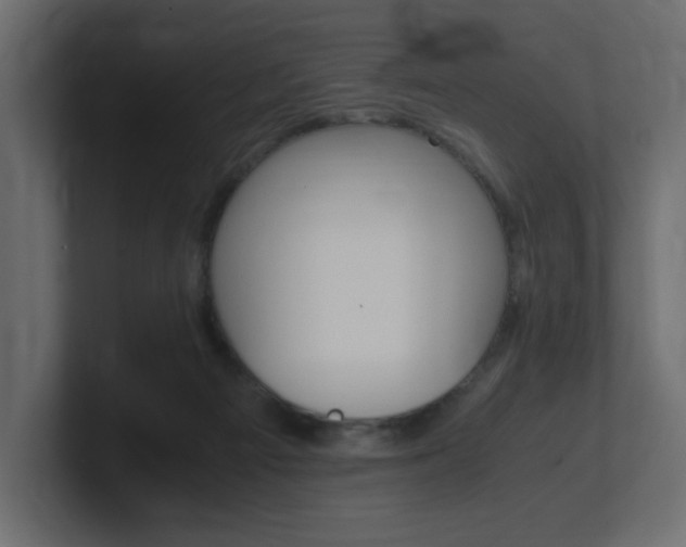 X0000101190121200806270855