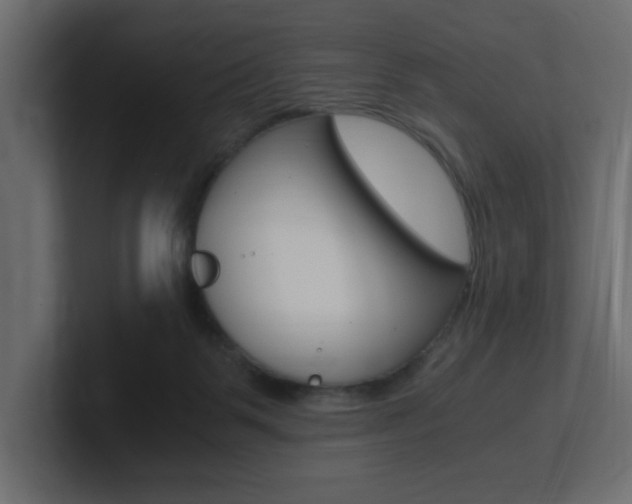 X0000101190123200806270855