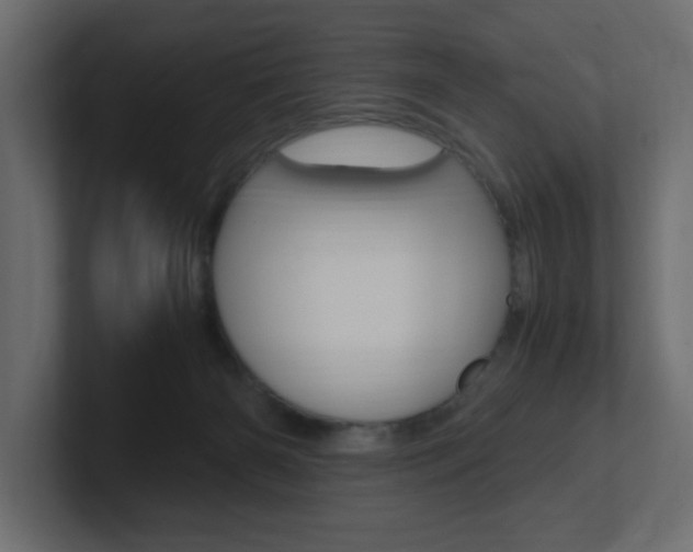 X0000101190126200806270855