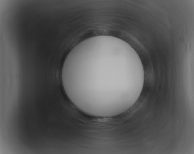 X0000101190134200806270855