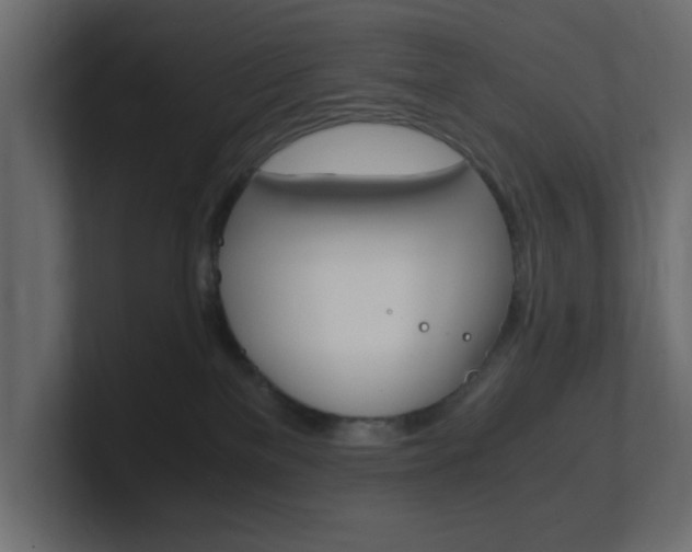 X0000101190137200806270855