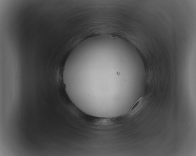 X0000101190140200806270855