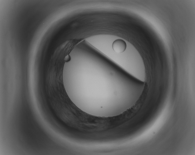 X0000101190143200806270855