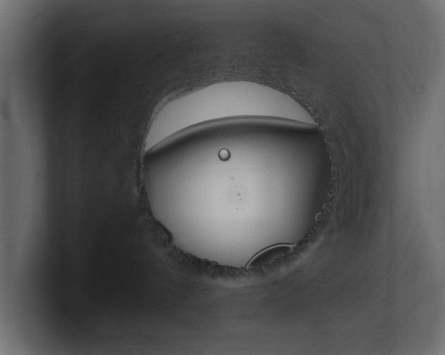 X0000101190144200806270855