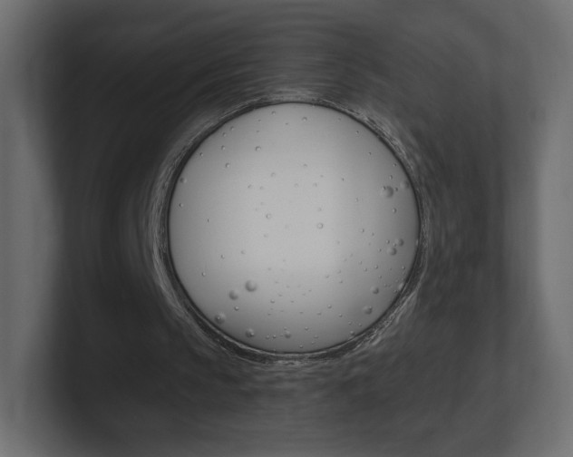 X0000101190145200806270854