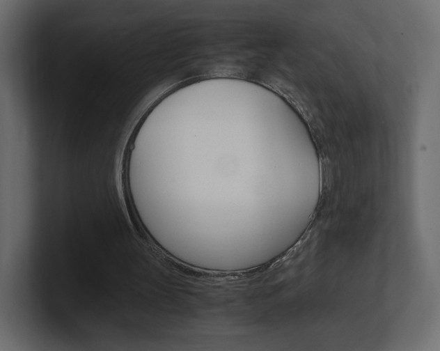 X0000101190147200806270854