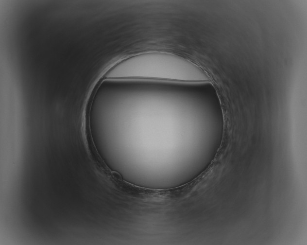 X0000101190148200806270854