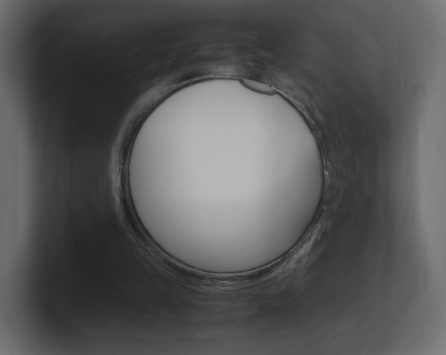 X0000101190149200806270854