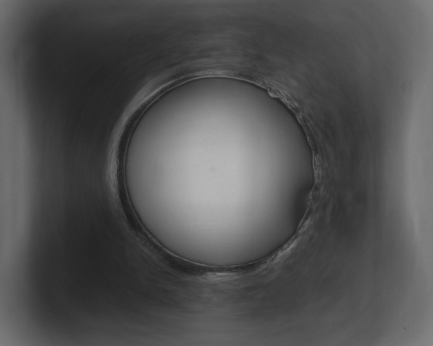 X0000101190150200806270854