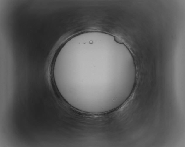 X0000101190151200806270854