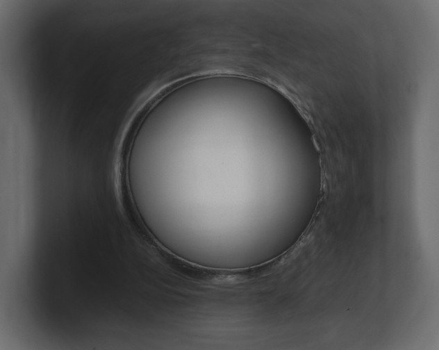 X0000101190152200806270854