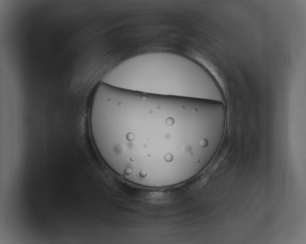 X0000101190153200806270854