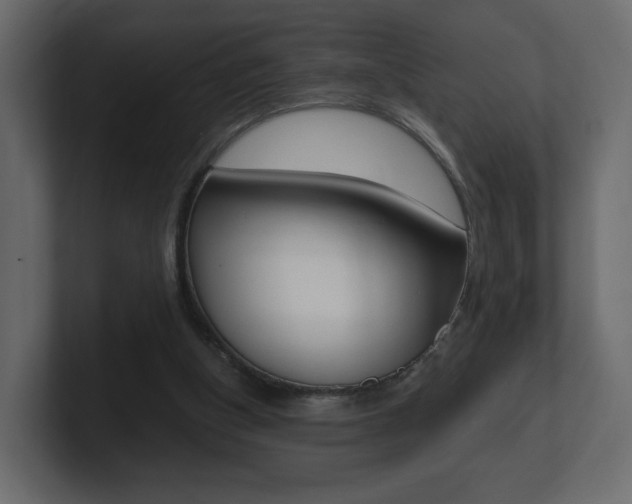 X0000101190154200806270854