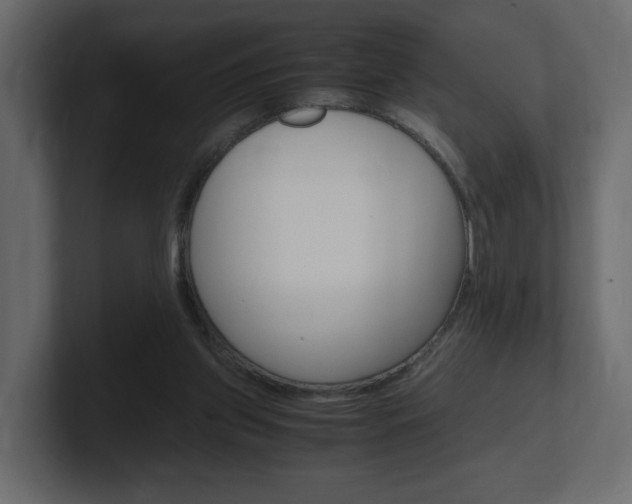 X0000101190157200806270854