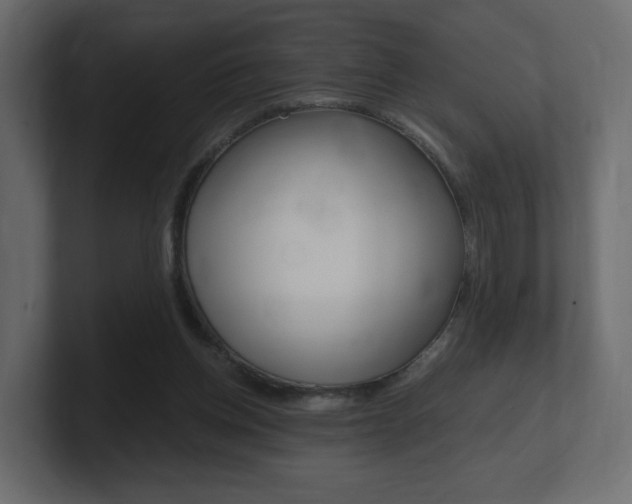 X0000101190158200806270854