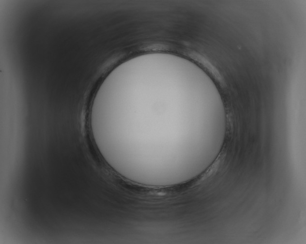 X0000101190159200806270854