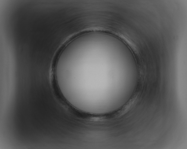 X0000101190160200806270854