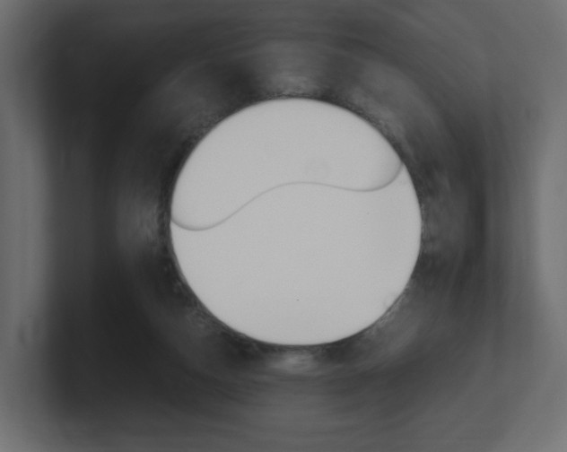 X0000101190162200806270854