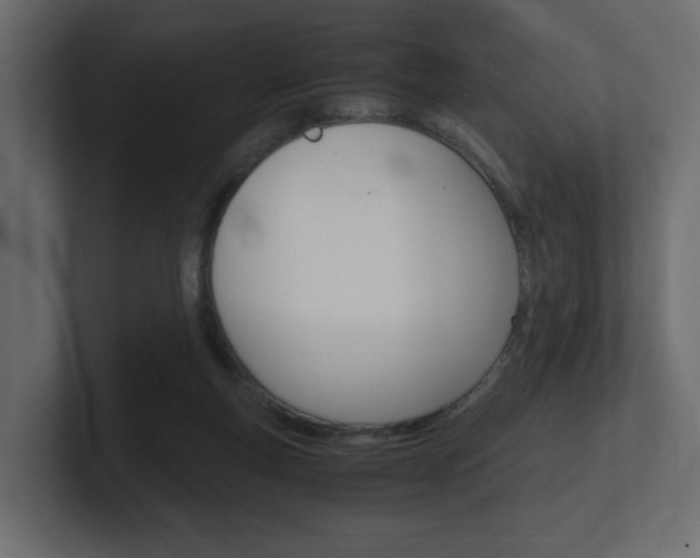 X0000101190163200806270854