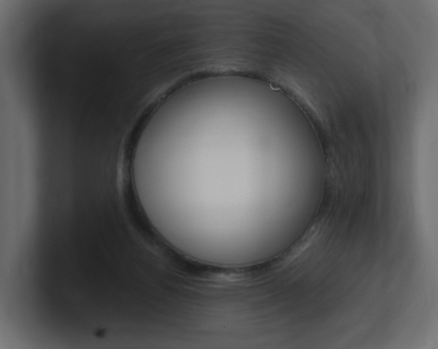 X0000101190164200806270854