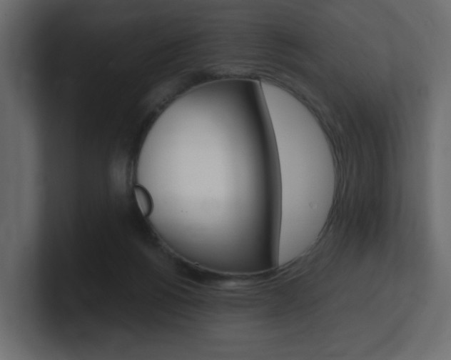 X0000101190168200806270854