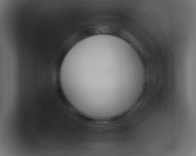 X0000101190169200806270854