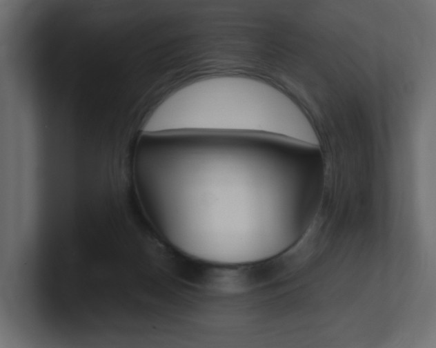 X0000101190170200806270854