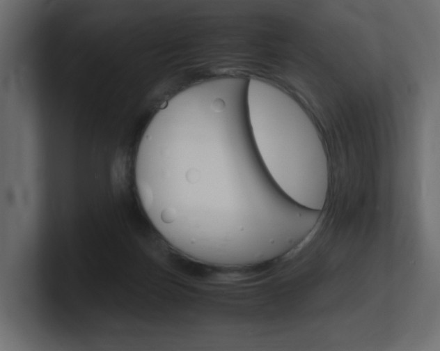 X0000101190171200806270854