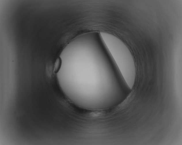 X0000101190172200806270854