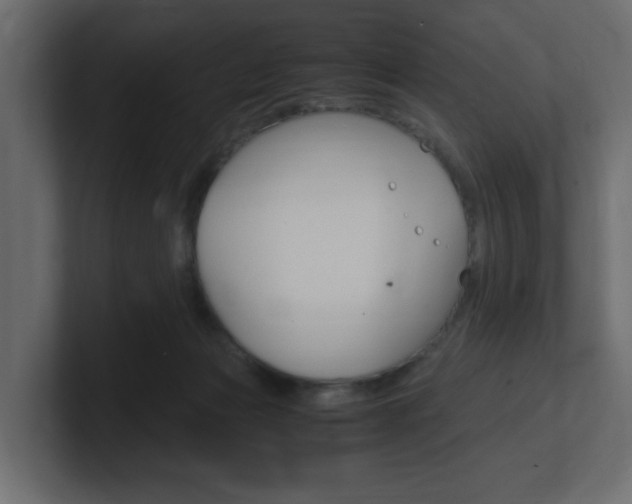 X0000101190173200806270854