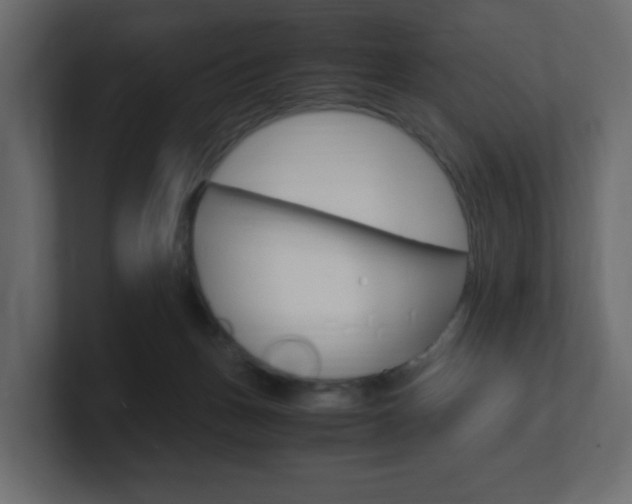 X0000101190175200806270854