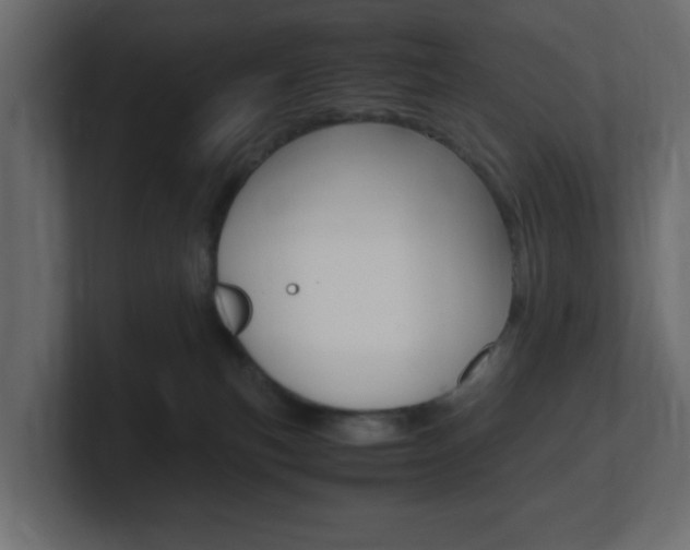 X0000101190183200806270855