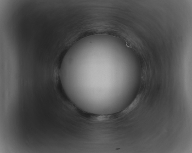 X0000101190184200806270855