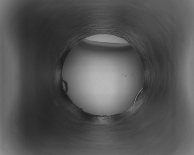 X0000101190188200806270855