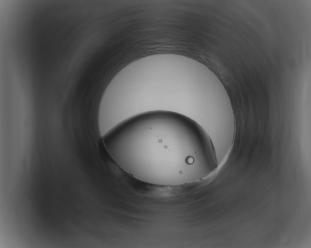 X0000101190190200806270855