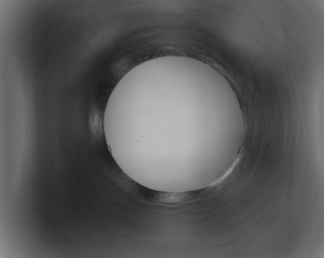 X0000101190191200806270855