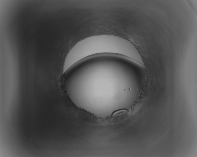 X0000101190192200806270855