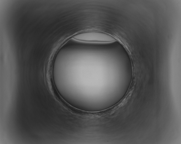 X0000101190193200806270854