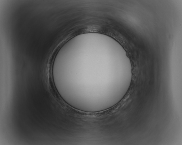 X0000101190194200806270854