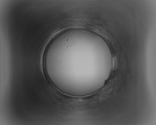 X0000101190195200806270854