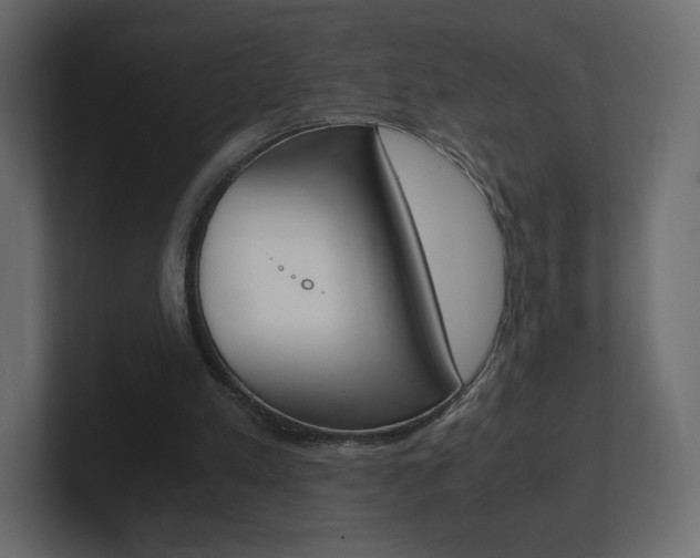 X0000101190197200806270854