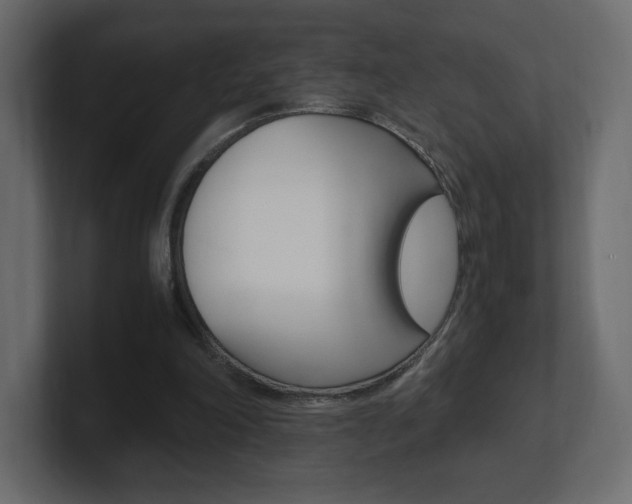 X0000101190198200806270854