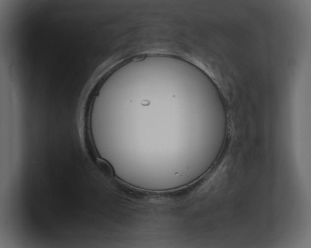 X0000101190199200806270854