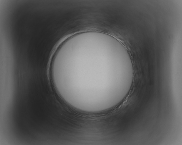 X0000101190200200806270854