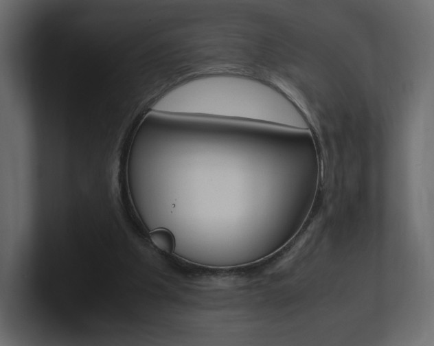 X0000101190201200806270854