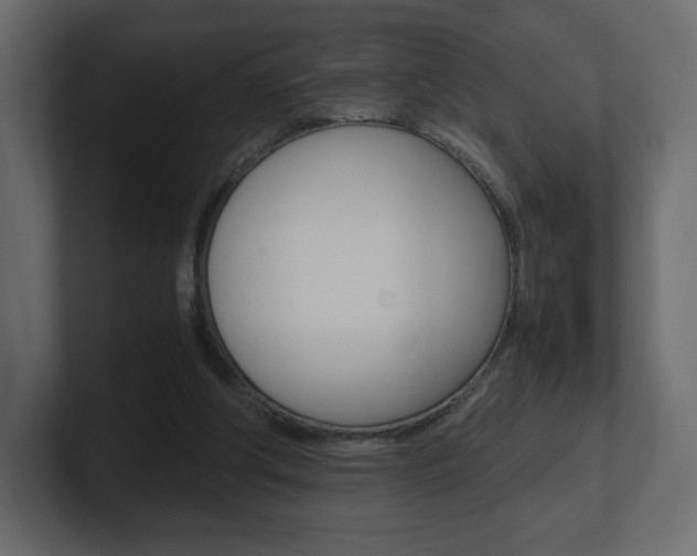 X0000101190202200806270854