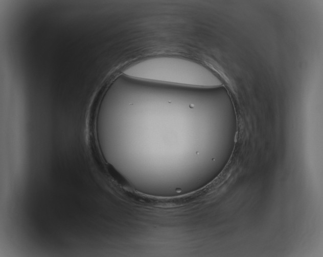 X0000101190203200806270854
