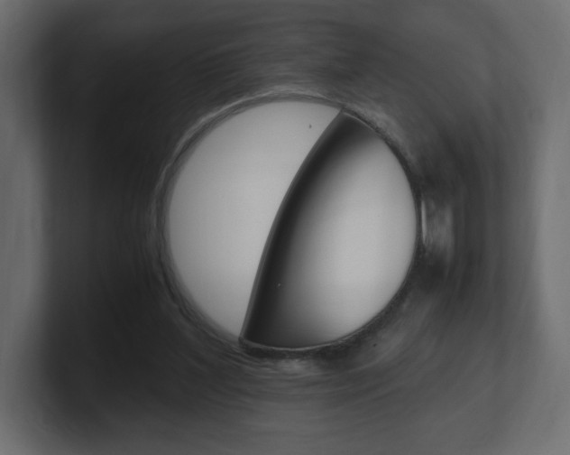X0000101190204200806270854