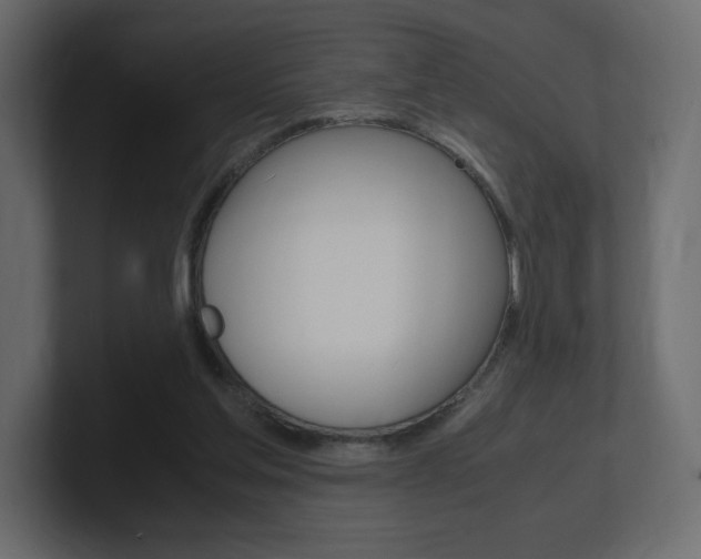 X0000101190205200806270854